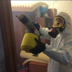 Уничтожение клопов в квартире. Киржач